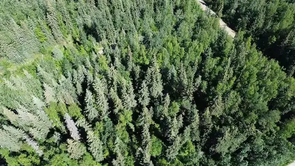 Lot 6 MAUDE BOYLE DRIVE, North Pole, AK 99705