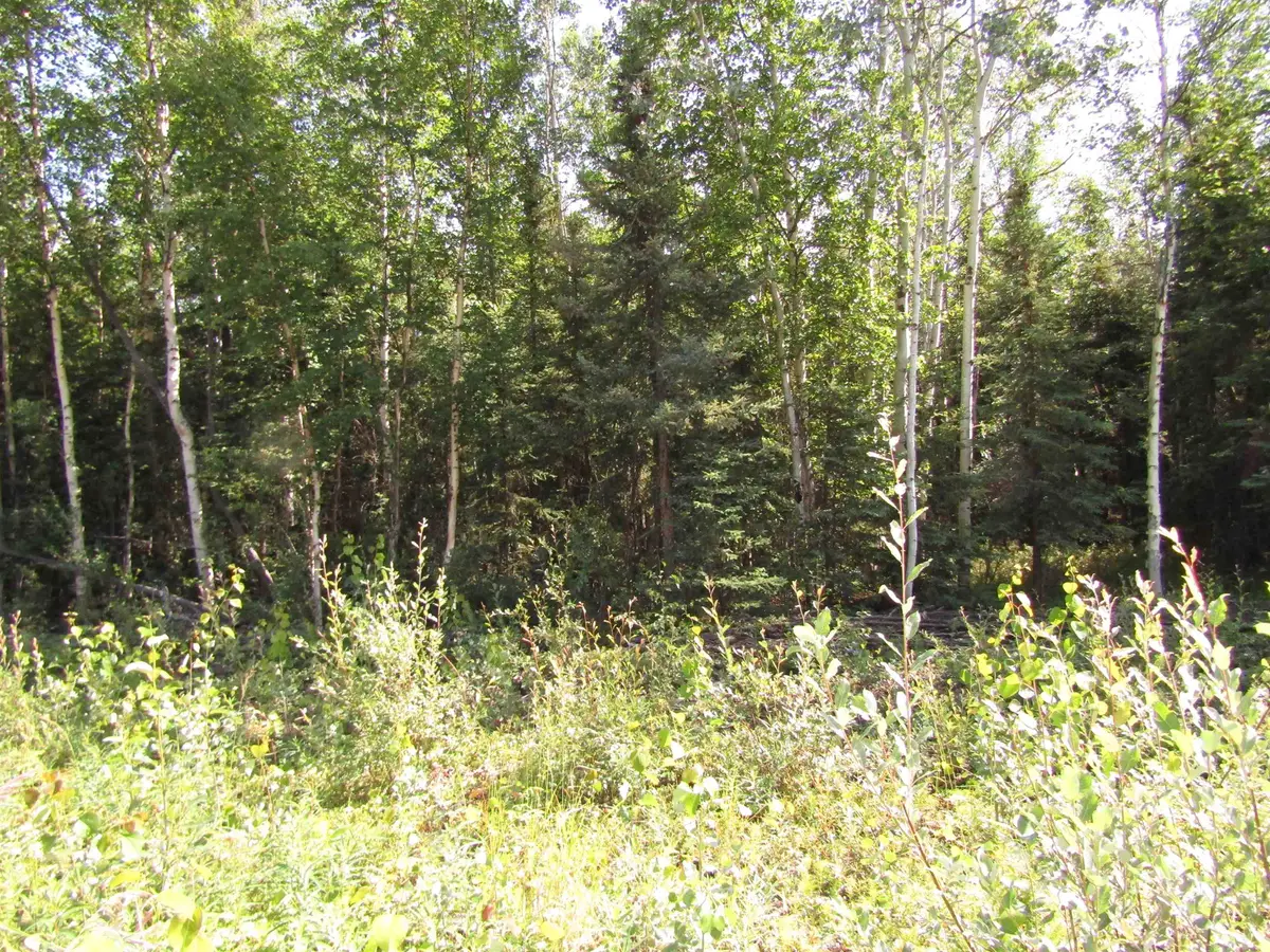 L4 OLD HARBOR ROAD, Delta Junction, AK 99737 - #1