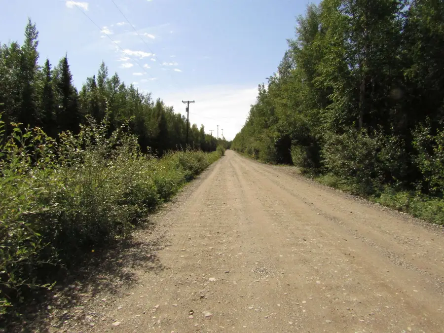 L4 OLD HARBOR ROAD, Delta Junction, AK 99737 - #2