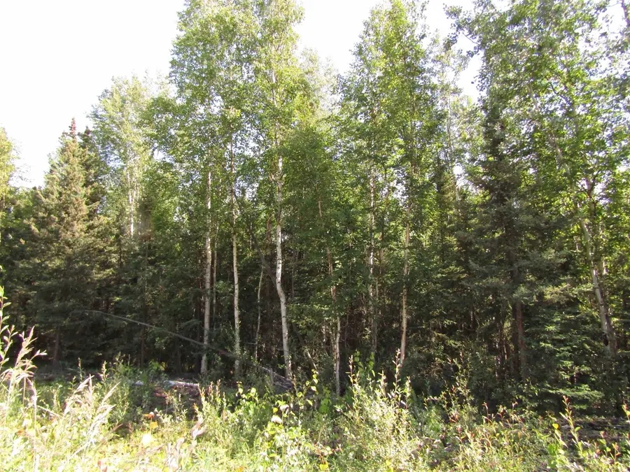 L4 OLD HARBOR ROAD, Delta Junction, AK 99737 - #3