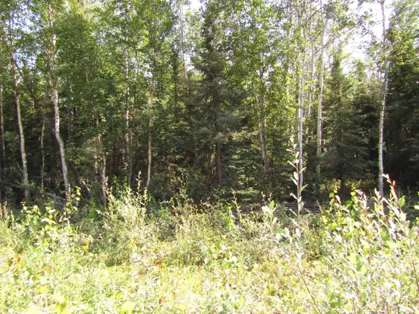 L3 OLD HARBOR ROAD, Delta Junction, AK 99737