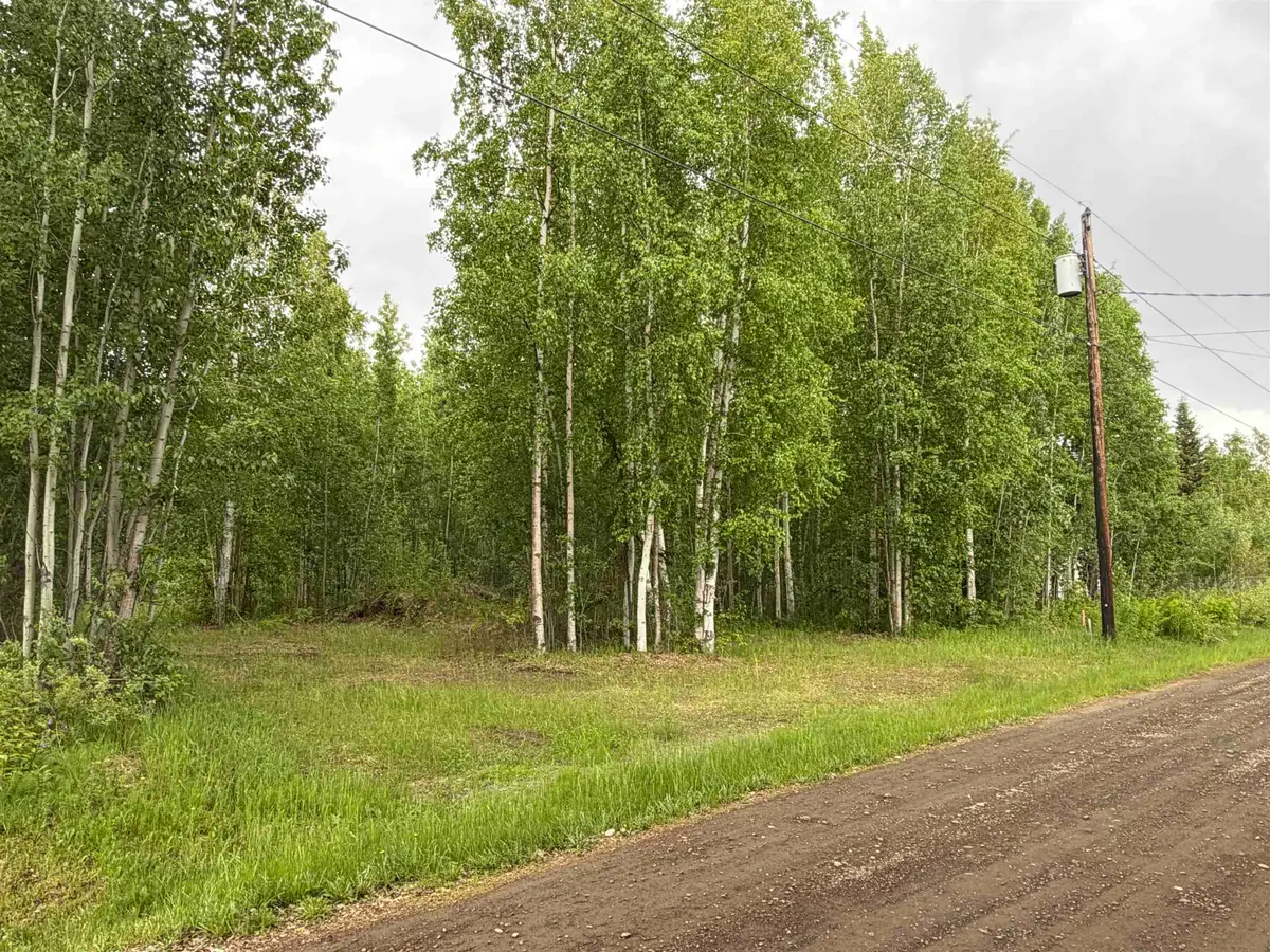 NHN LESLIE STREET, North Pole, AK 99705 - #1