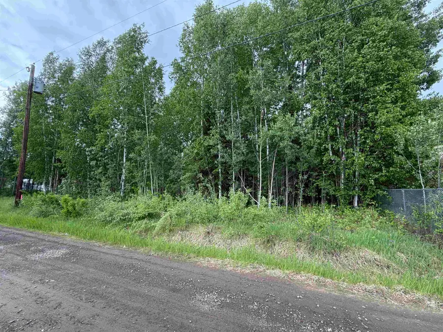 NHN LESLIE STREET, North Pole, AK 99705 - #2