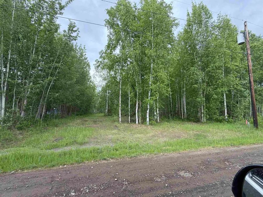 NHN LESLIE STREET, North Pole, AK 99705 - #3