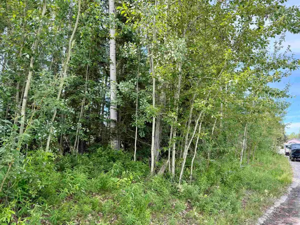 NHN JEANNE DRIVE, Fairbanks, AK 99701