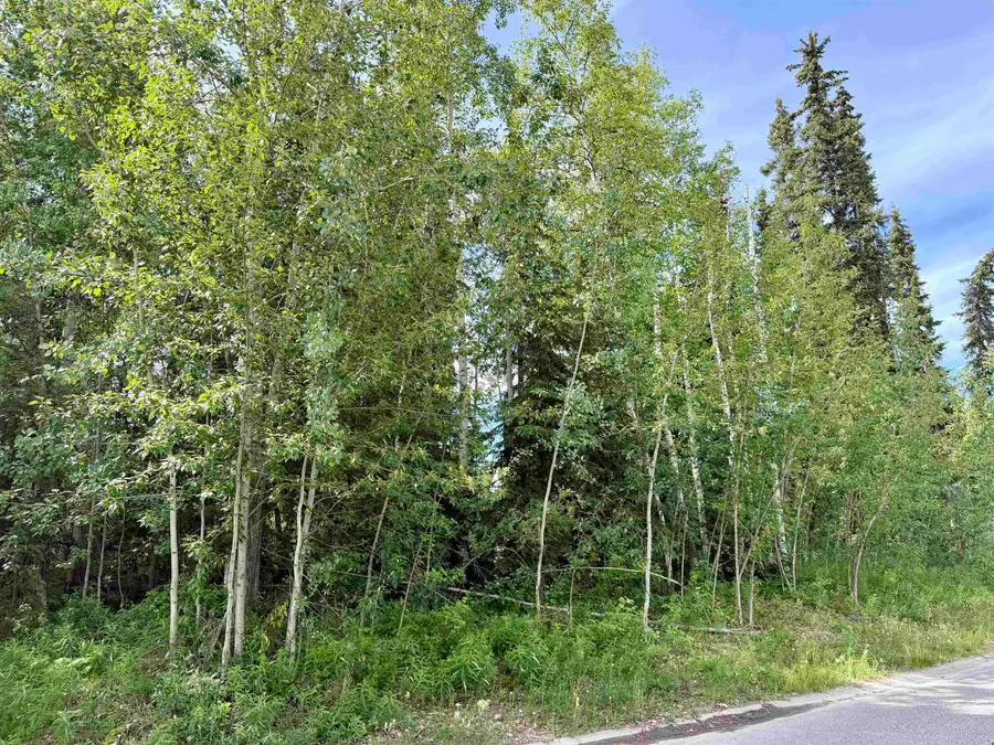 NHN JEANNE DRIVE, Fairbanks, AK 99701 - #2