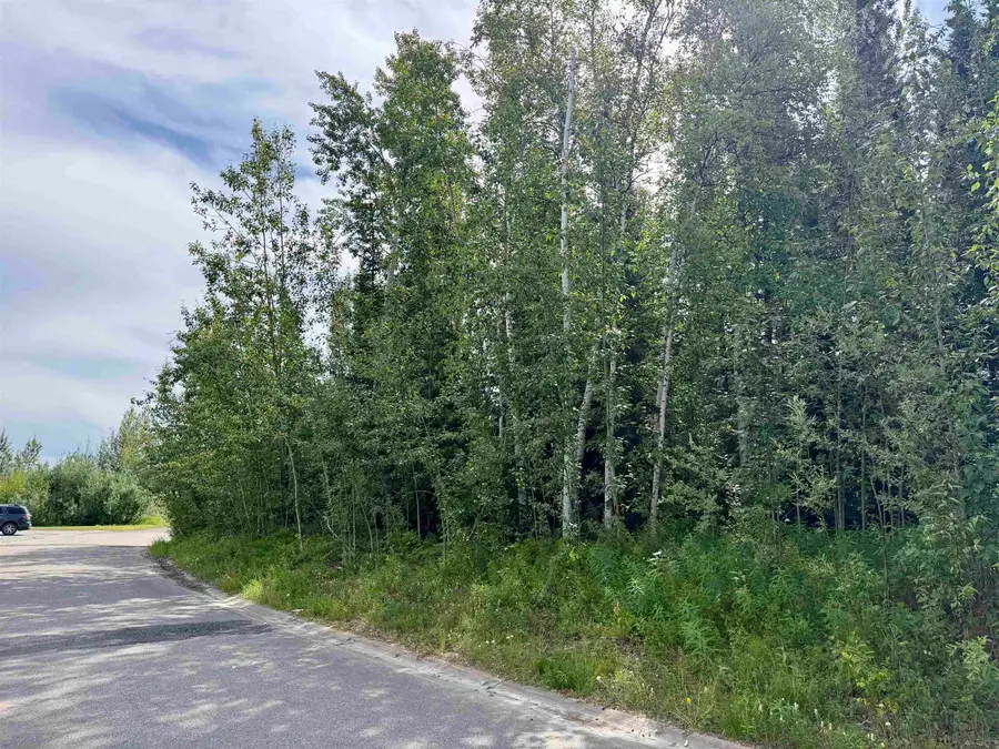 NHN JEANNE DRIVE, Fairbanks, AK 99701 - #3
