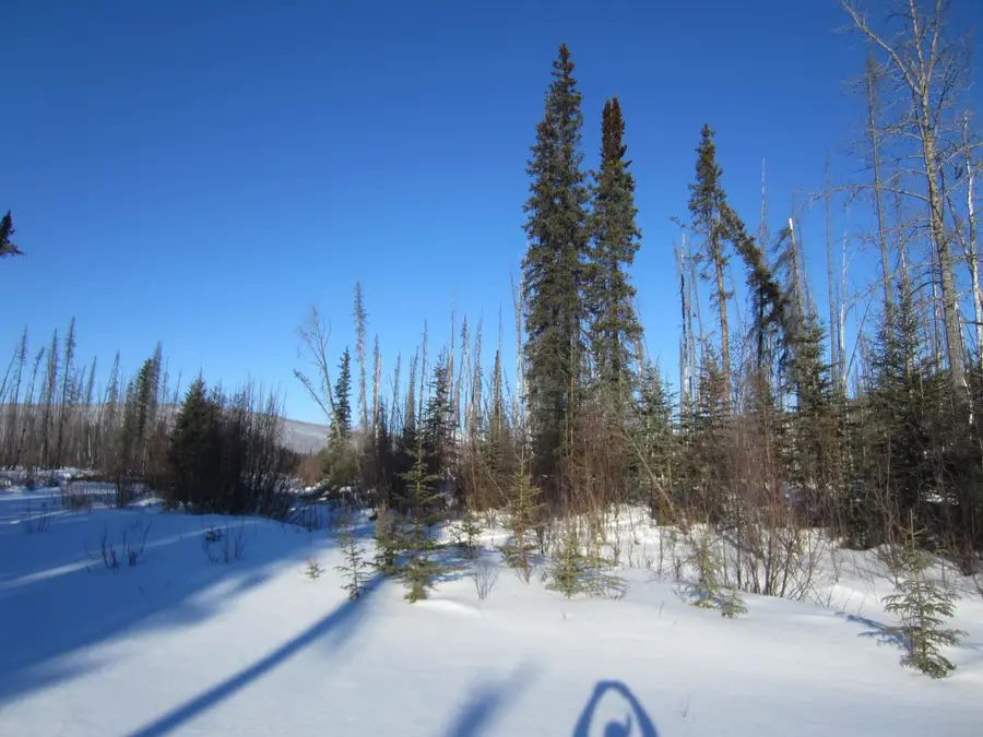 NHN NORTH FORK CHENA RIVER, Fairbanks North Star, AK 99712 - #2