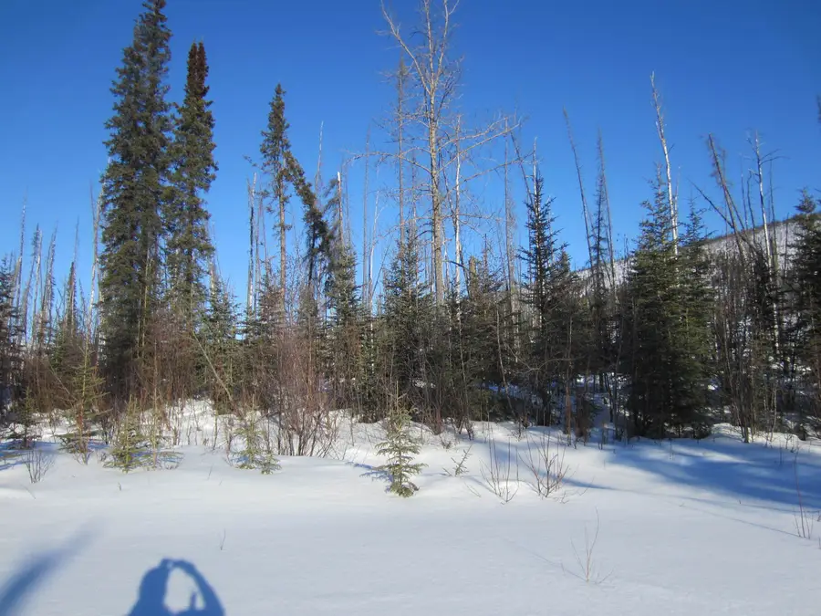 NHN NORTH FORK CHENA RIVER, Fairbanks North Star, AK 99712 - #3