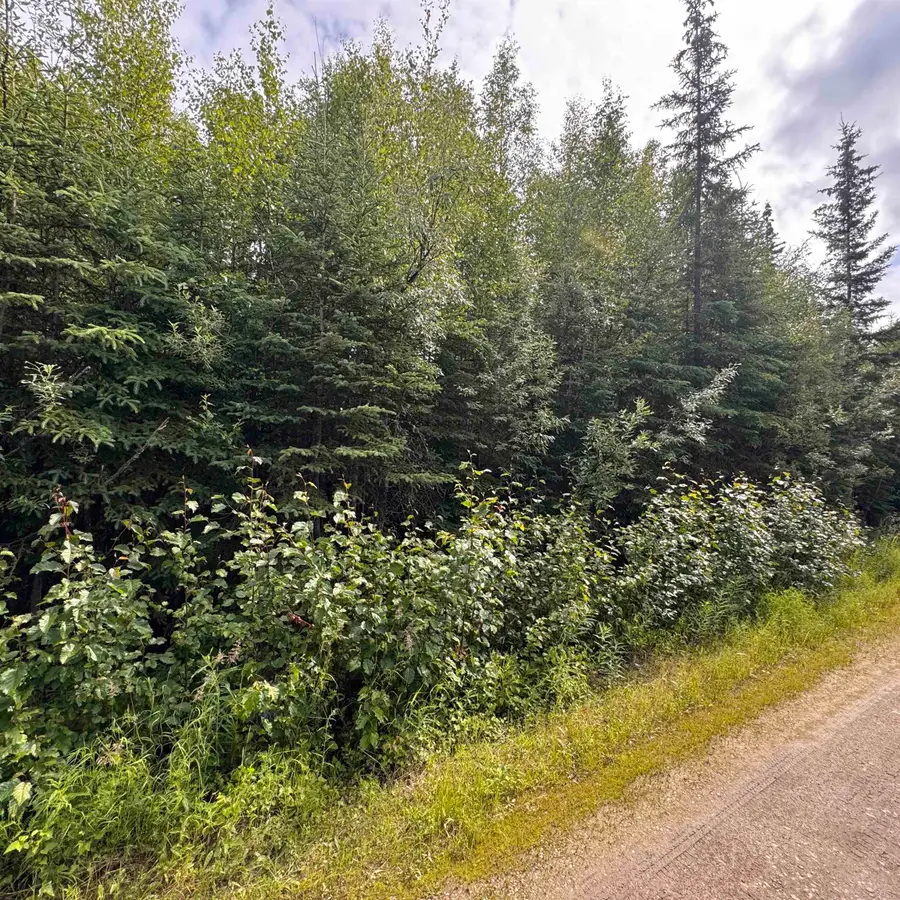 NHN CAPRICORN STREET, Fairbanks, AK 99712 - #3