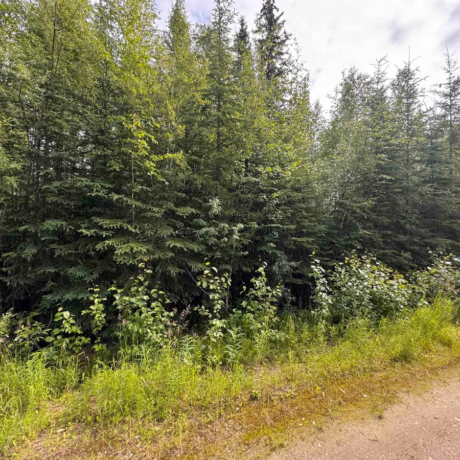 NHN CAPRICORN STREET, Fairbanks, AK 99712 - #3