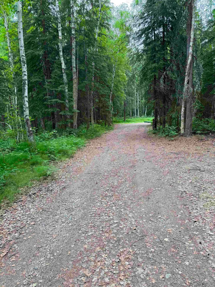 3203 JONY DAN LANE, North Pole, AK 99705 - #3