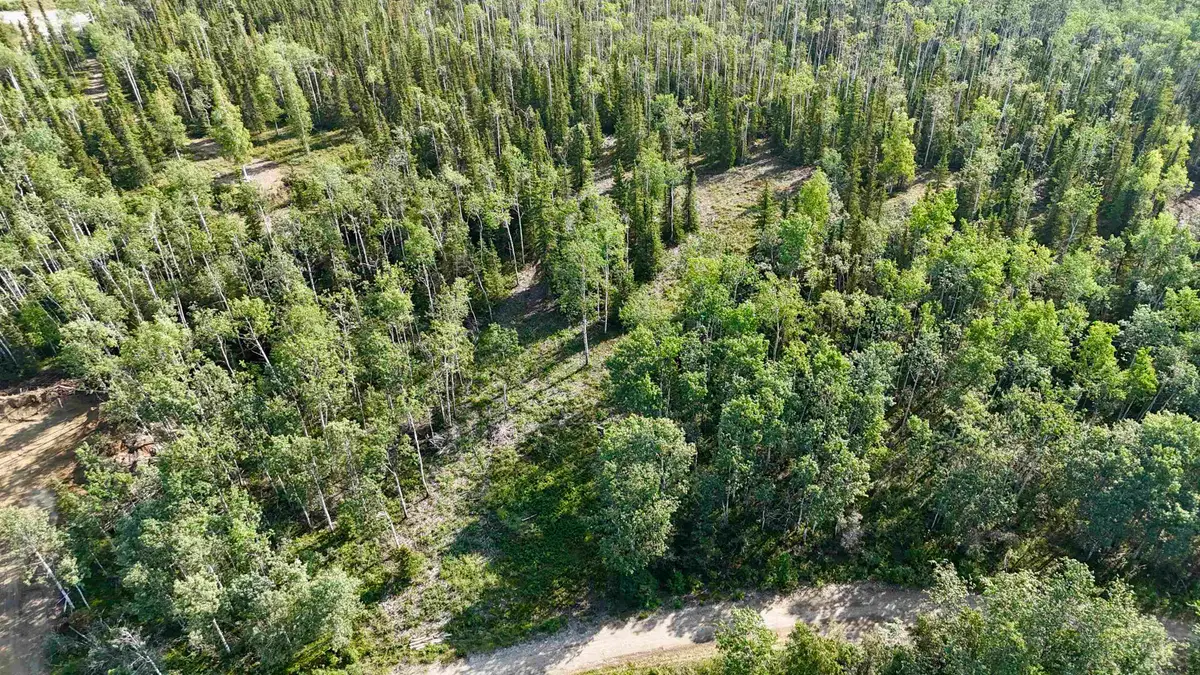 L4 BC SCHLECHT DRIVE #Lot 4 Block C Schlecht Drive, Delta Junction, AK 99737 - #1