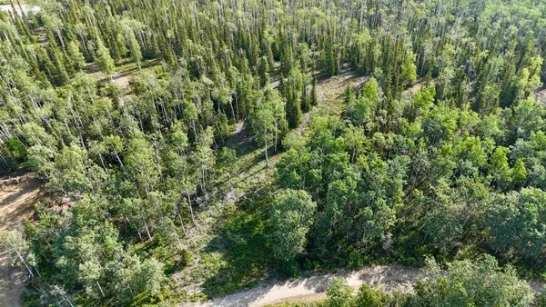 L4 BC SCHLECHT DRIVE #Lot 4 Block C Schlecht Drive, Delta Junction, AK 99737