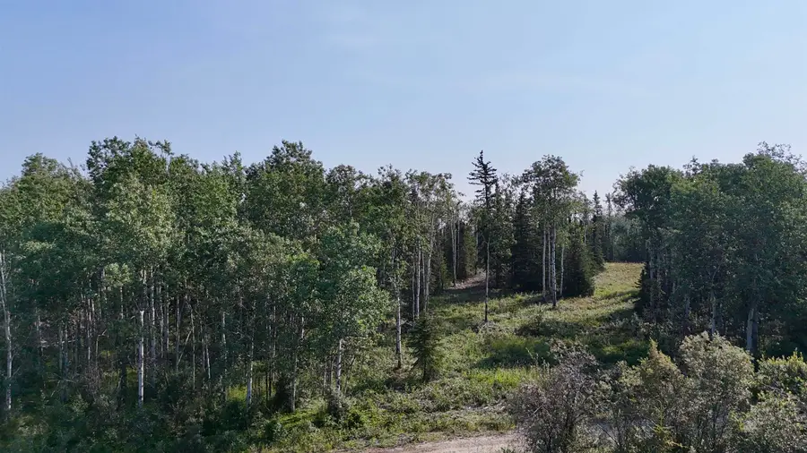 L4 BC SCHLECHT DRIVE #Lot 4 Block C Schlecht Drive, Delta Junction, AK 99737 - #2