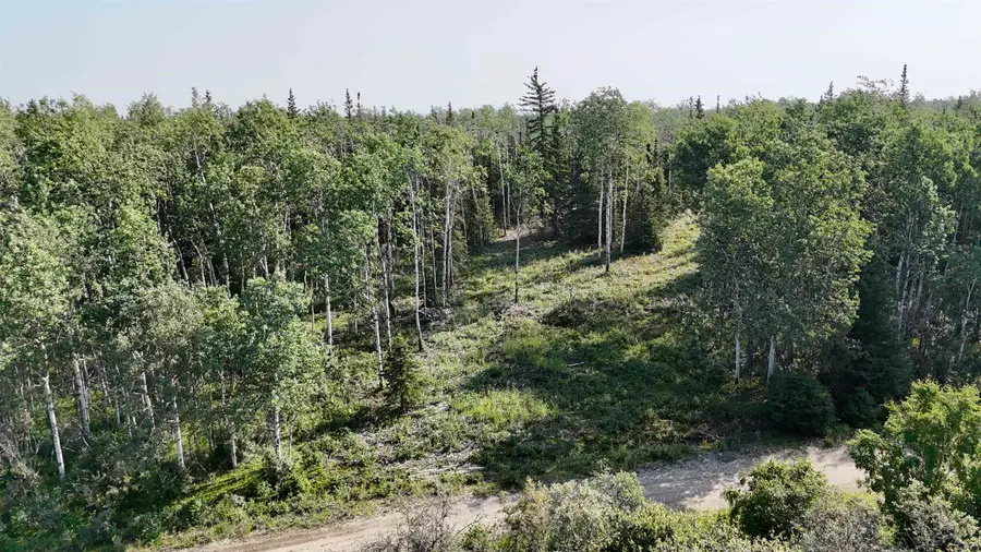 L4 BC SCHLECHT DRIVE #Lot 4 Block C Schlecht Drive, Delta Junction, AK 99737 - #3