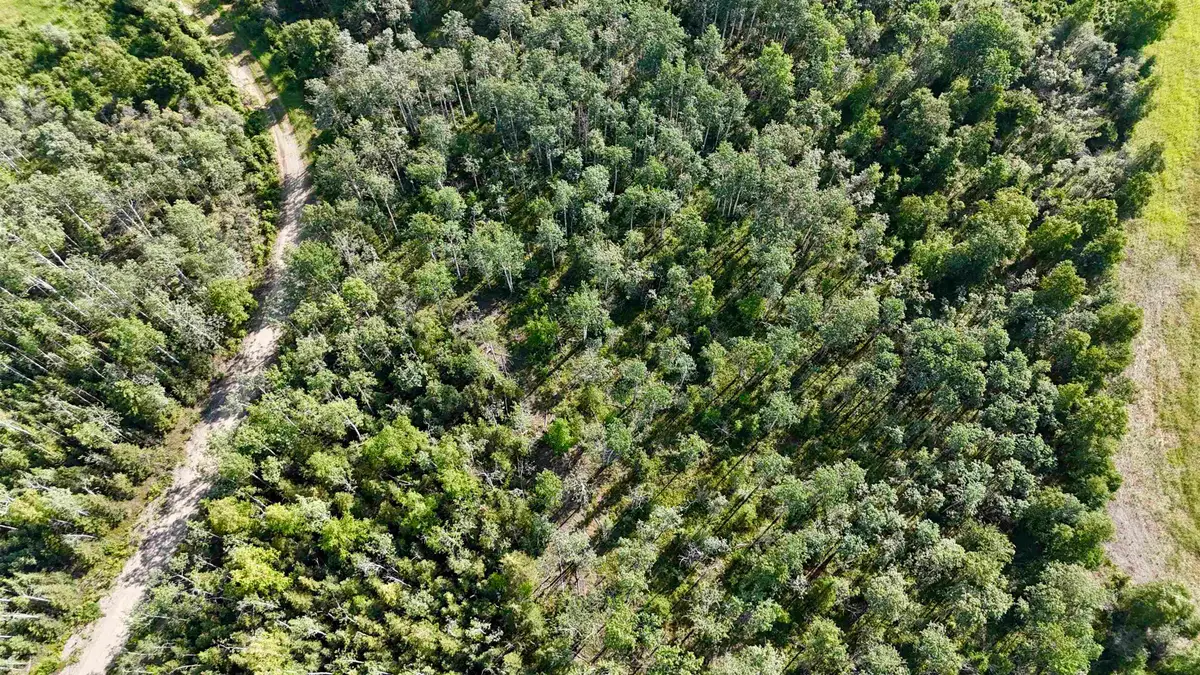 L7 BC SCHLECHT DRIVE #Lot 7 Block C Schlecht Drive, Delta Junction, AK 99737 - #1