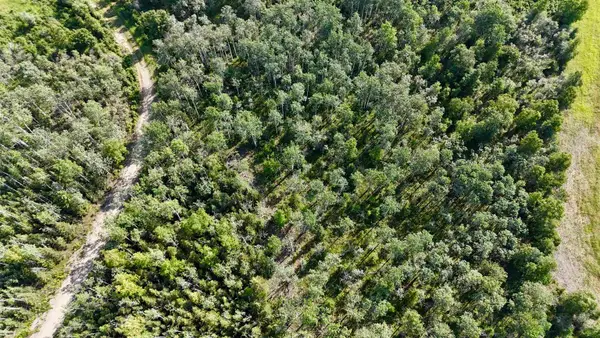 L7 BC SCHLECHT DRIVE #Lot 7 Block C Schlecht Drive, Delta Junction, AK 99737