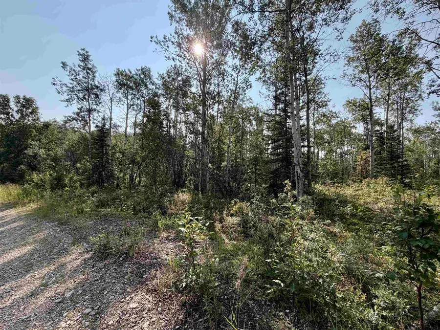 L7 BC SCHLECHT DRIVE #Lot 7 Block C Schlecht Drive, Delta Junction, AK 99737 - #2