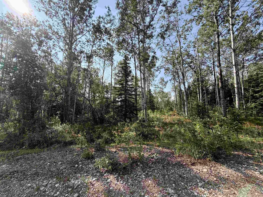 L7 BC SCHLECHT DRIVE #Lot 7 Block C Schlecht Drive, Delta Junction, AK 99737 - #3