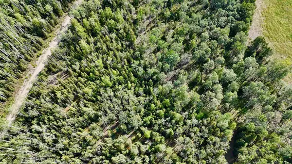 L8 BC SCHLECHT DRIVE #Lot 8 Block C Schlecht Drive, Delta Junction, AK 99737