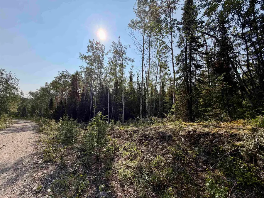 L8 BC SCHLECHT DRIVE #Lot 8 Block C Schlecht Drive, Delta Junction, AK 99737 - #2
