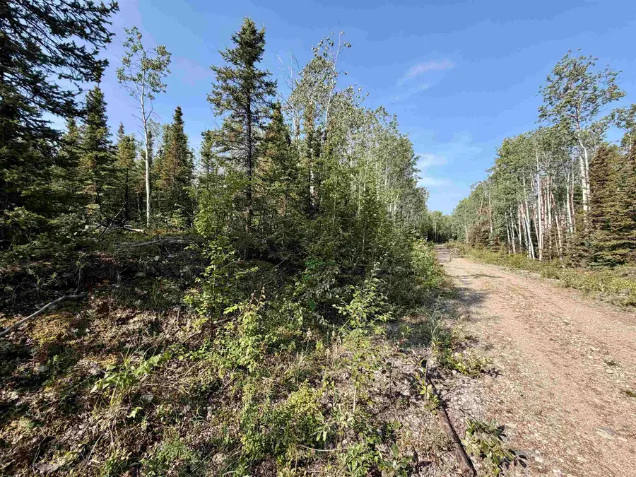 L8 BC SCHLECHT DRIVE #Lot 8 Block C Schlecht Drive, Delta Junction, AK 99737 - #3