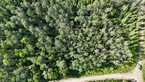 L11 BC SCHLECHT DRIVE #Lot 11 Block C Schlecht Drive, Delta Junction, AK 99737