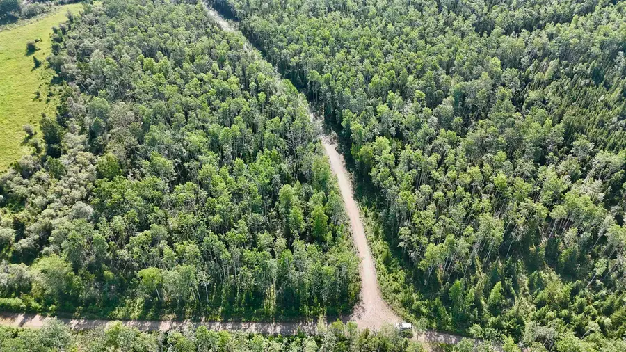 L11 BC SCHLECHT DRIVE #Lot 11 Block C Schlecht Drive, Delta Junction, AK 99737 - #2