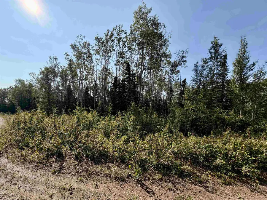 L11 BC SCHLECHT DRIVE #Lot 11 Block C Schlecht Drive, Delta Junction, AK 99737 - #3