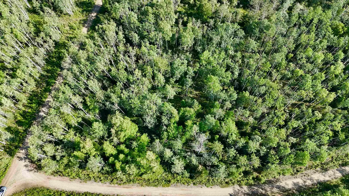 L123 BD SCHLECHT DRIVE #Lot 1, 2, & 3 Block D Schlecht Drive, Delta Junction, AK 99737 - #1