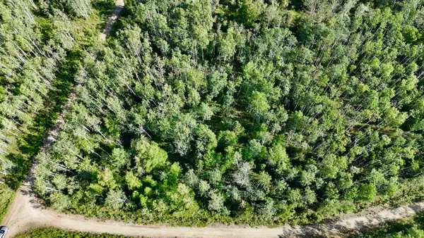 L123 BD SCHLECHT DRIVE #Lot 1, 2, & 3 Block D Schlecht Drive, Delta Junction, AK 99737