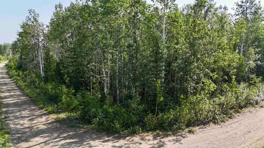 L123 BD SCHLECHT DRIVE #Lot 1, 2, & 3 Block D Schlecht Drive, Delta Junction, AK 99737 - #2
