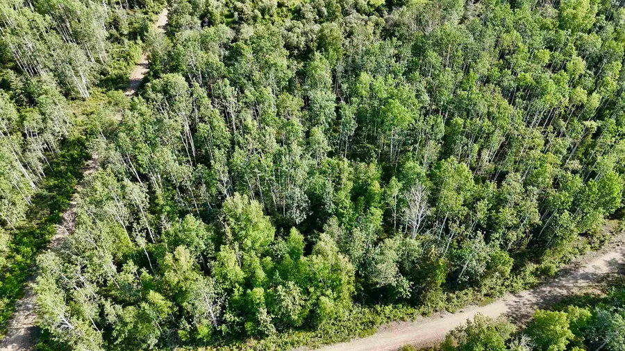 L123 BD SCHLECHT DRIVE #Lot 1, 2, & 3 Block D Schlecht Drive, Delta Junction, AK 99737 - #3