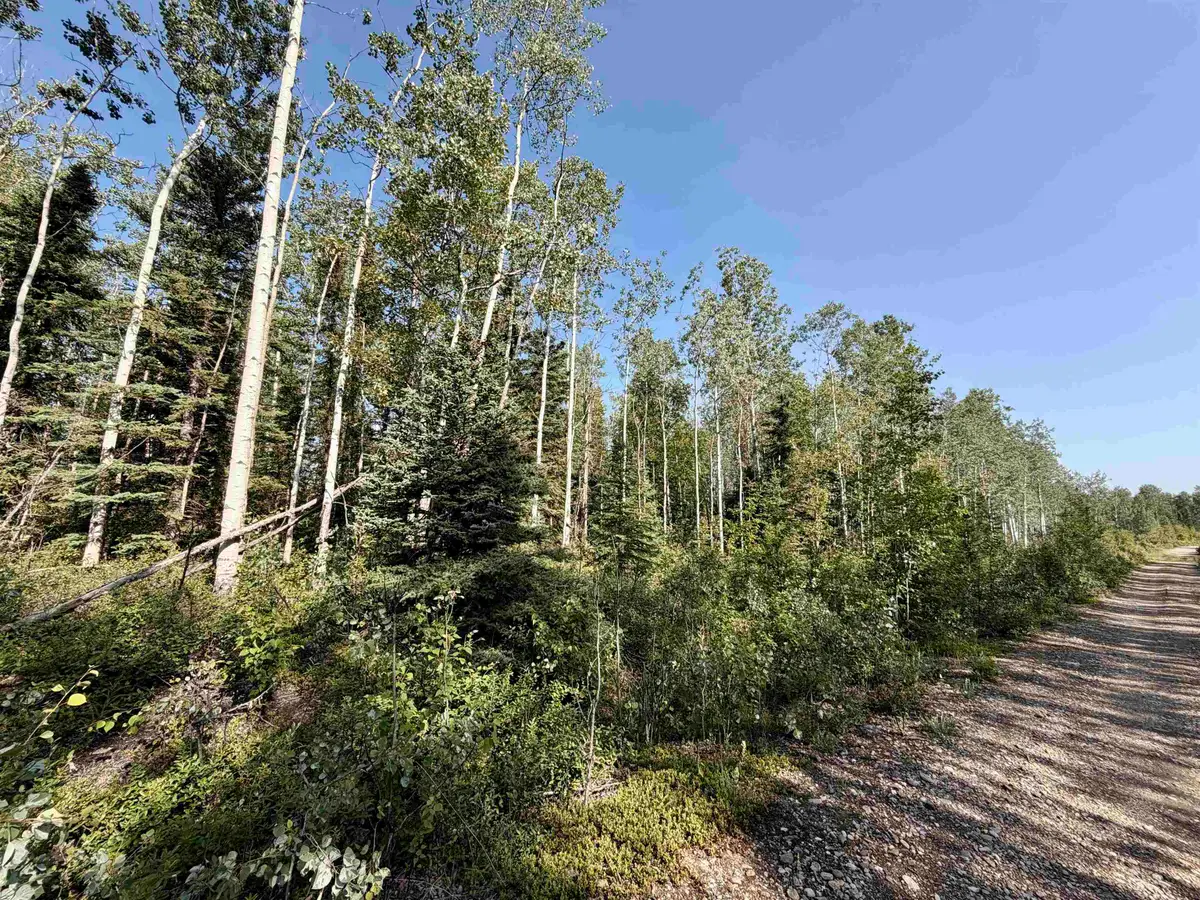 L1 BB SCHLECHT DRIVE #Lot 1 Block B Clearwater Drive, Delta Junction, AK 99737 - #1