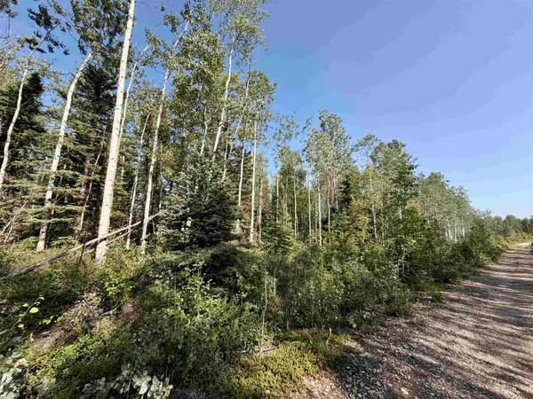 L1 BB SCHLECHT DRIVE #Lot 1 Block B Clearwater Drive, Delta Junction, AK 99737
