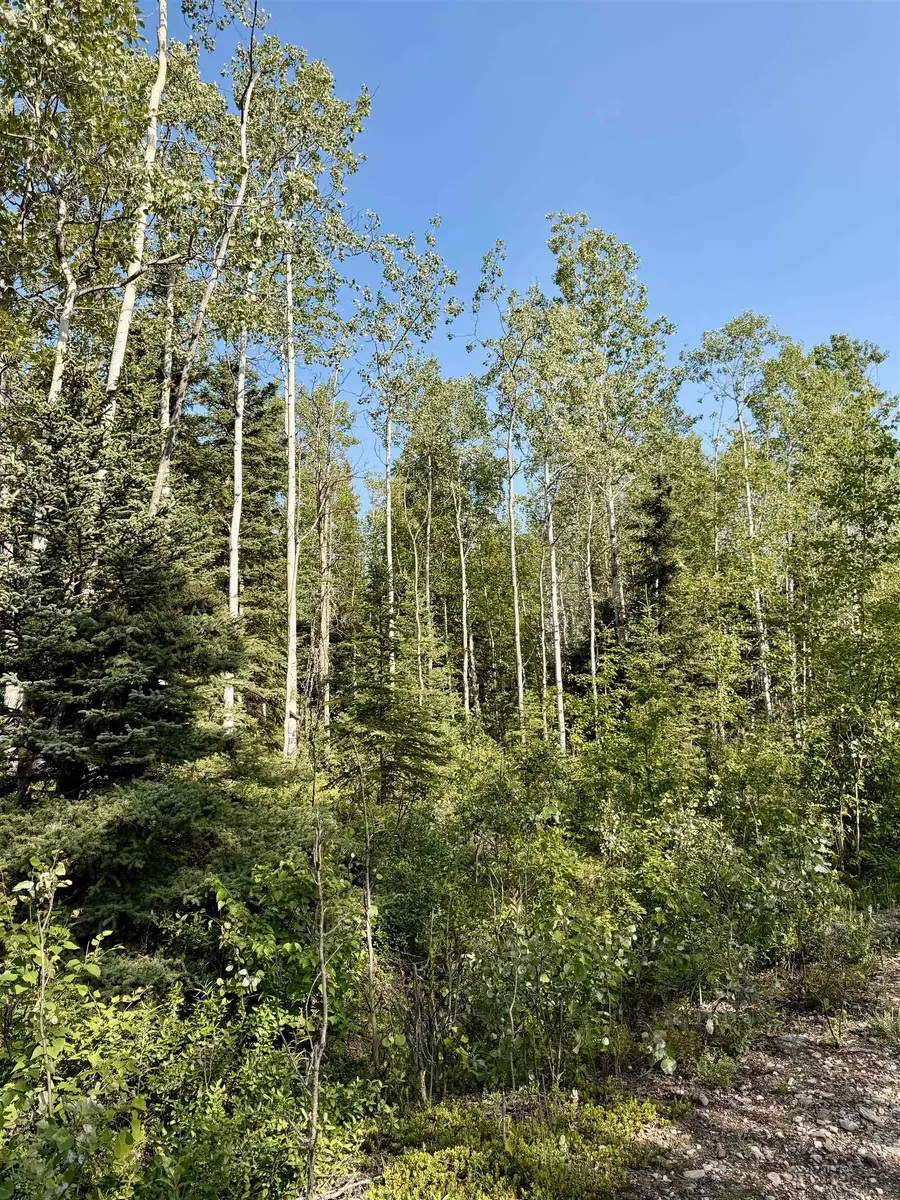 L1 BB SCHLECHT DRIVE #Lot 1 Block B Clearwater Drive, Delta Junction, AK 99737 - #2