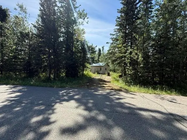 NHN SALCHA AVENUE, Delta Junction, AK 99737 - #2