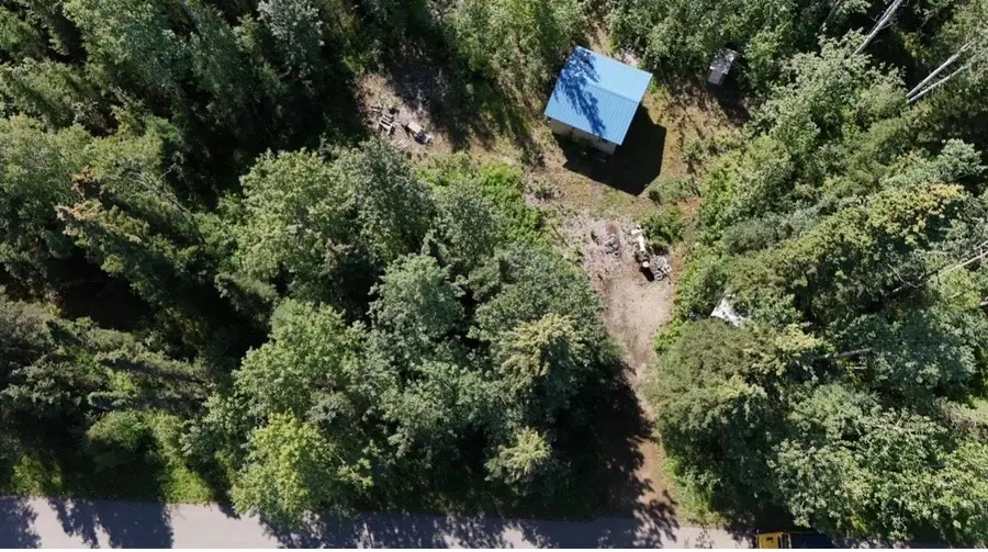 NHN SALCHA AVENUE, Delta Junction, AK 99737 - #3