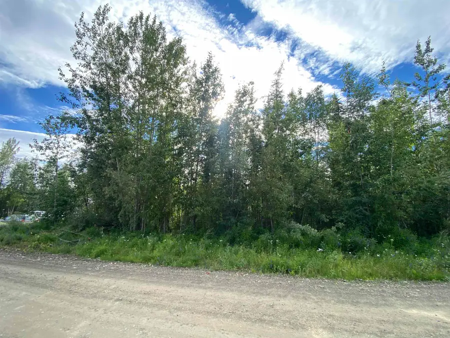 NHN TOOTIE STREET, North Pole, AK 99705 - #2