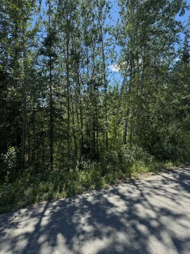 NHN CHENA STREET, Deltana, AK 99737 - #2