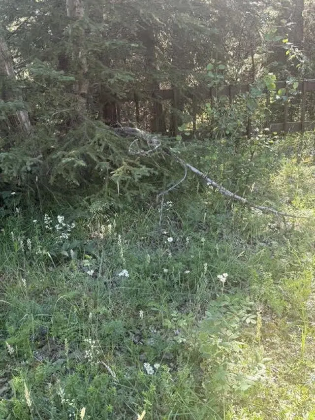 NHN CHENA STREET, Deltana, AK 99737 - #3
