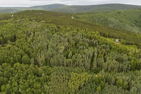 NHN RECONSTRUCTION ROAD, FAIRBANKS, AK 99709