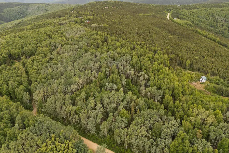 NHN RECONSTRUCTION ROAD, Fairbanks, AK 99709 - #2