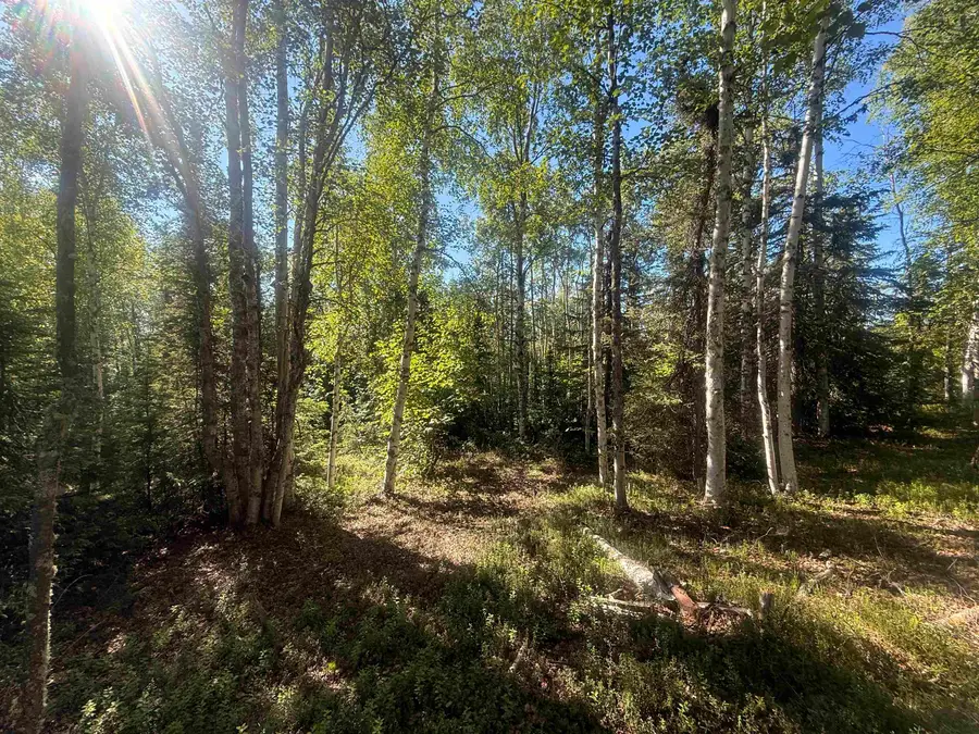 NHN RECONSTRUCTION ROAD, Fairbanks, AK 99709 - #3