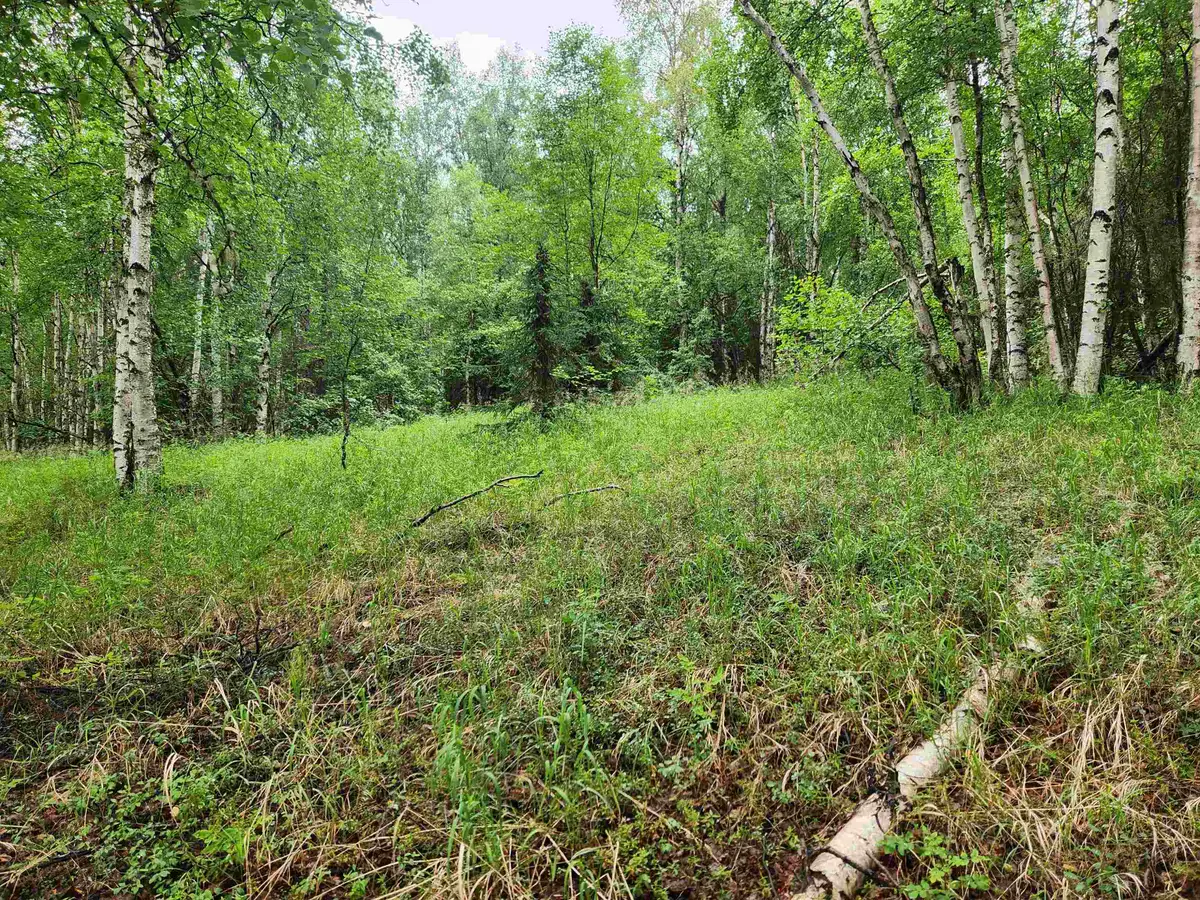 680 LEUTHOLD DRIVE, Fairbanks, AK 99712 - #1