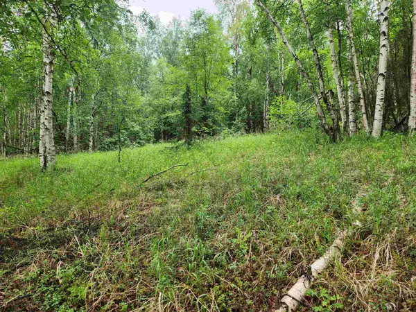 680 LEUTHOLD DRIVE, Fairbanks, AK 99712