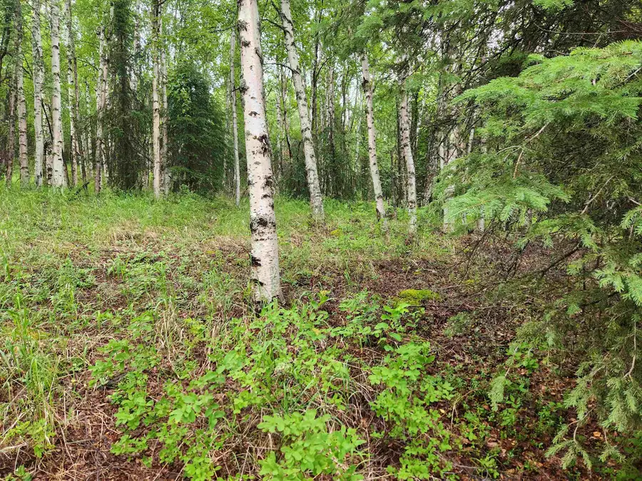 680 LEUTHOLD DRIVE, Fairbanks, AK 99712 - #2
