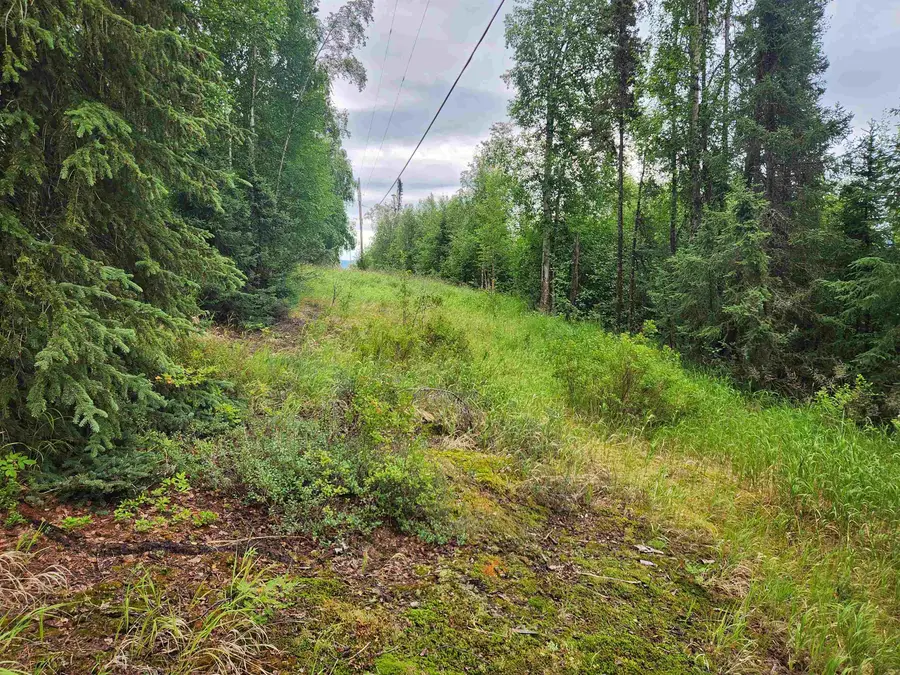 680 LEUTHOLD DRIVE, Fairbanks, AK 99712 - #3