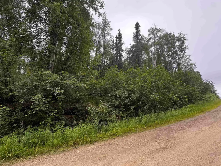 NHN PINEHURST COURT, Fairbanks, AK 99712 - #3